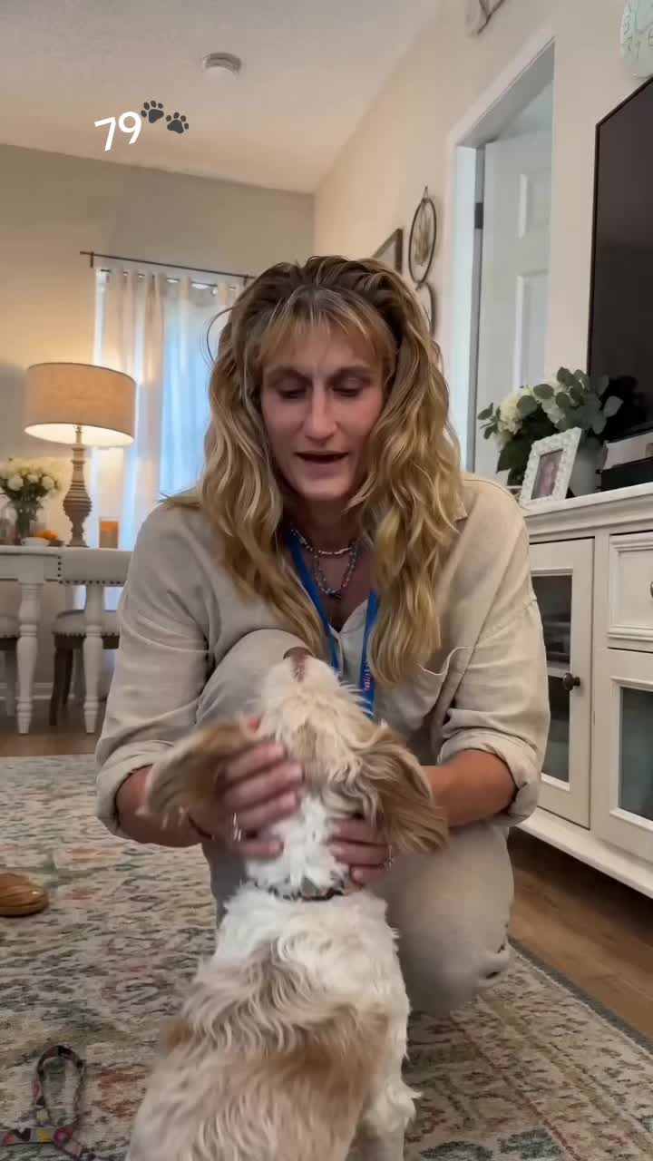 @Kittenluv #79🐾