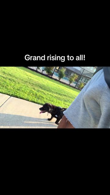 @Greyson Chamberlain