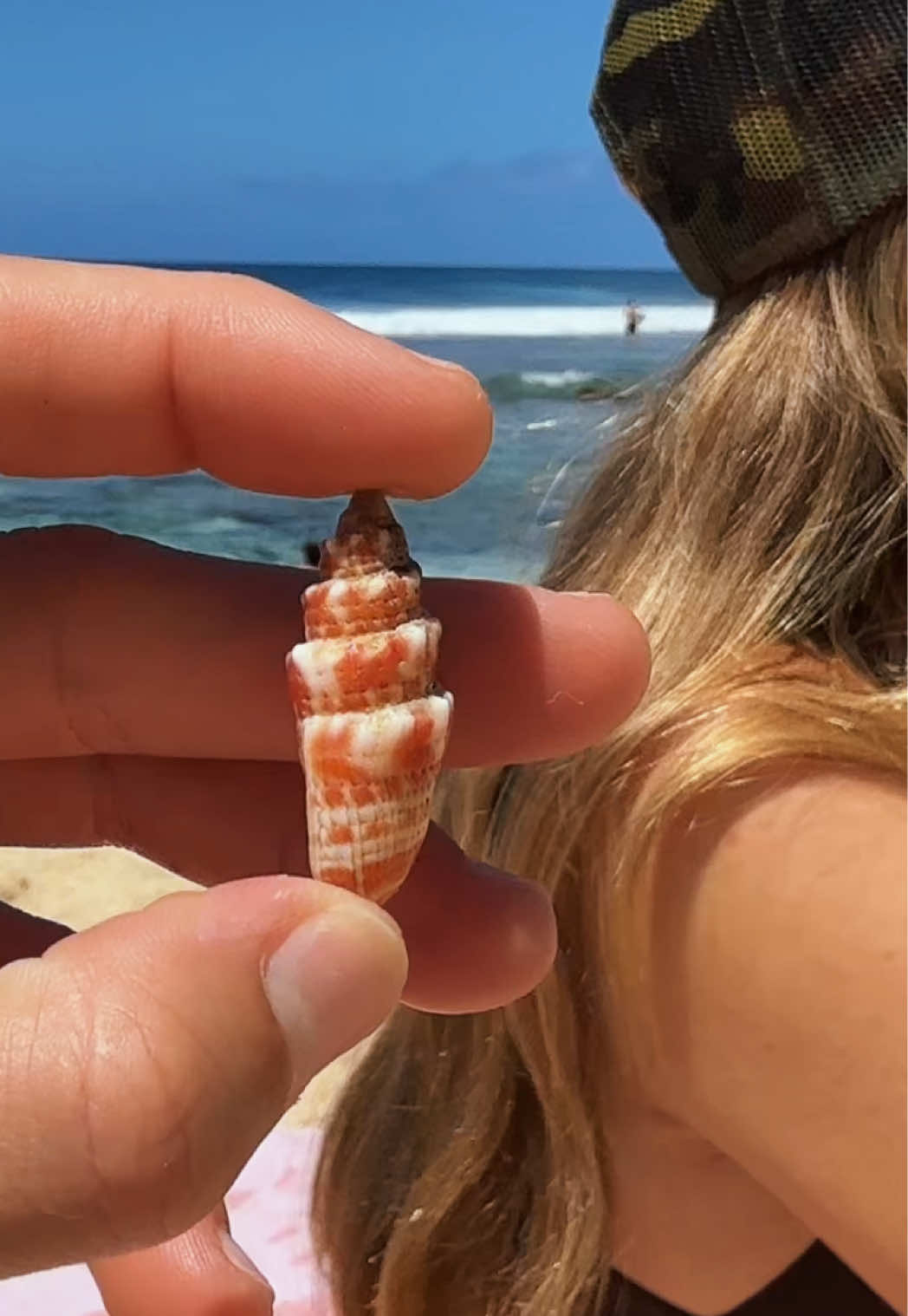 @Islandshells