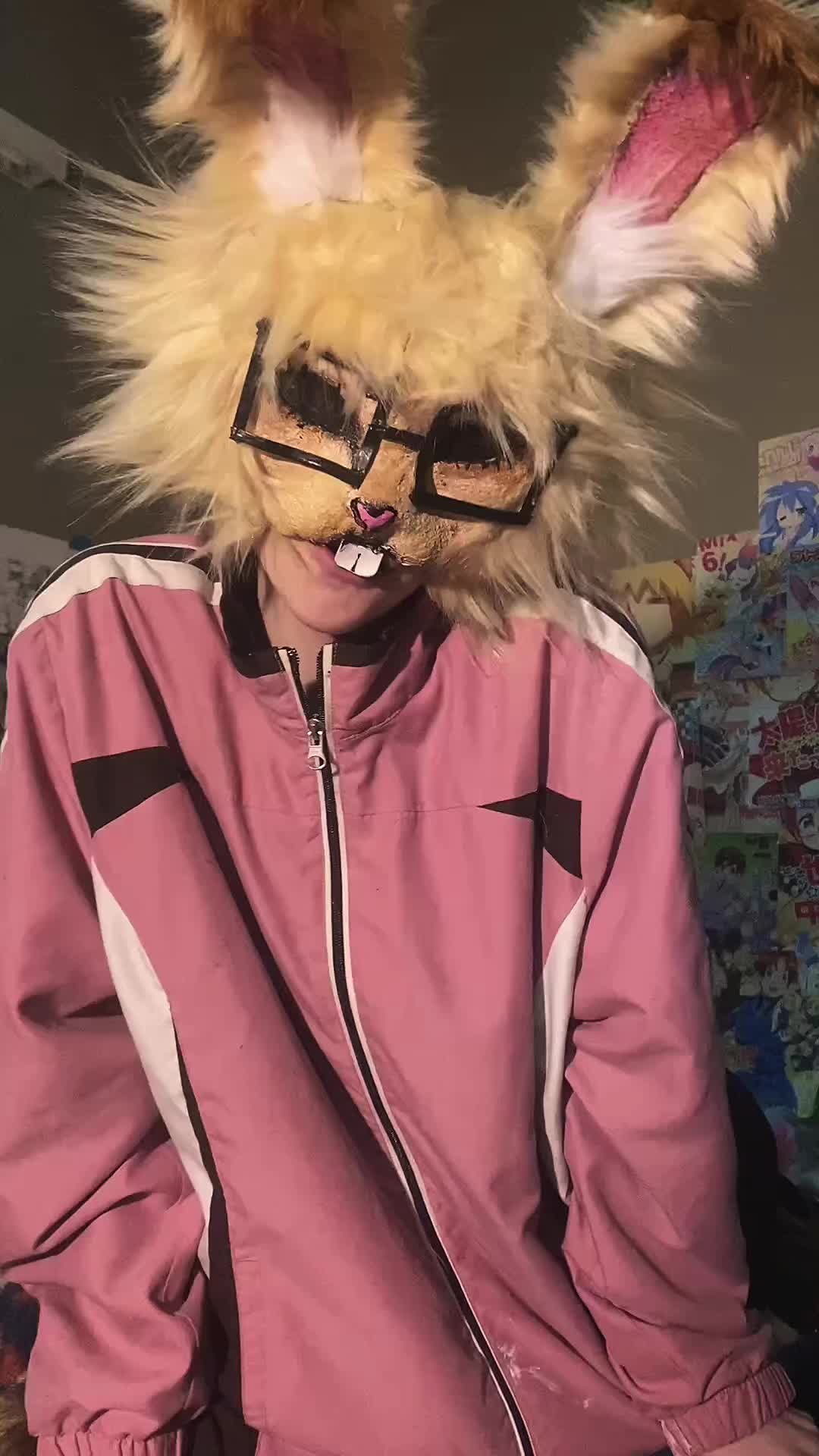 @{ 🧶 ᖇOᑕKY🐇🎪 }