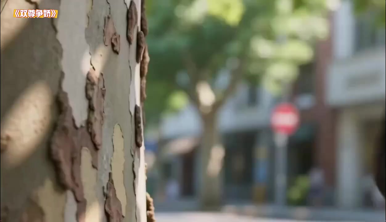 @音樂心情故事