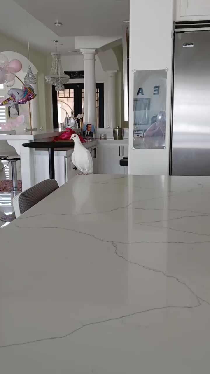 @Alma Angulo