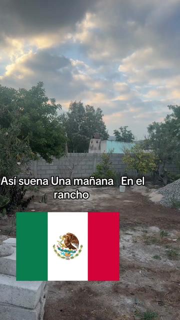 @Minimy🦅🇲🇽R☠️🌹💦🪖🕸️🔥