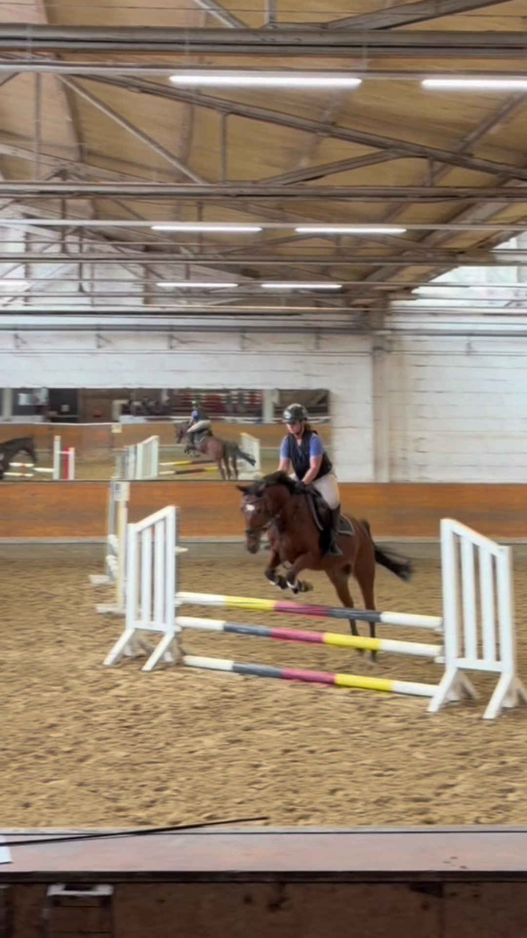 @Romy🐕🐎