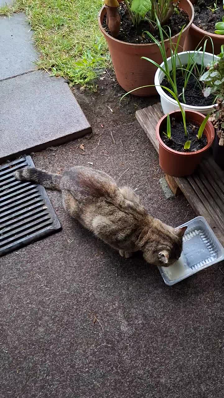 @Natur und Garten