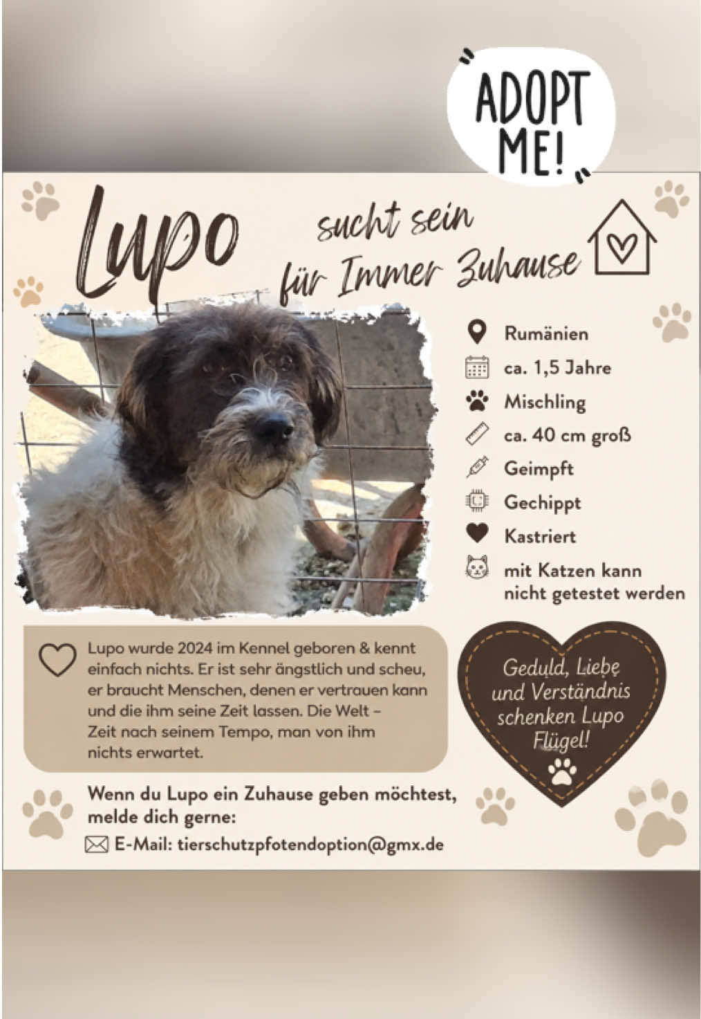@Soulistas.Tierliebe