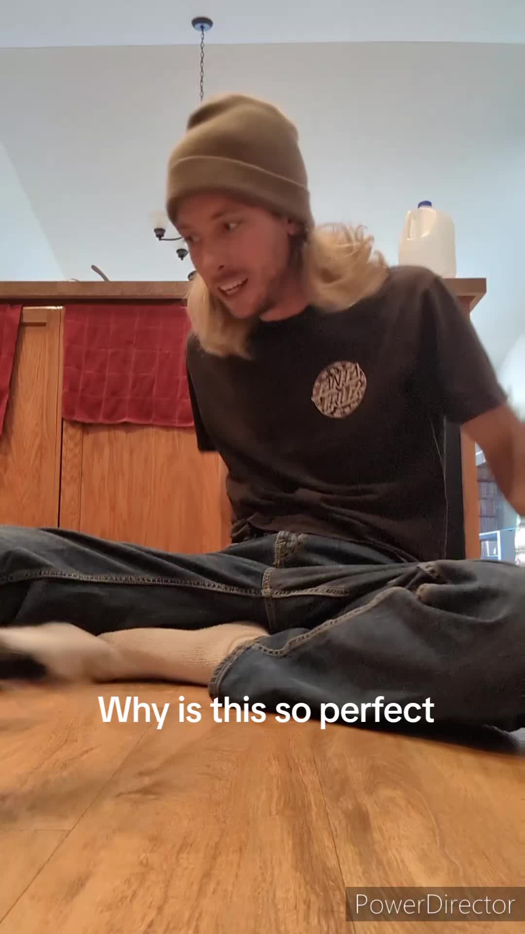 @Rainy the Cat