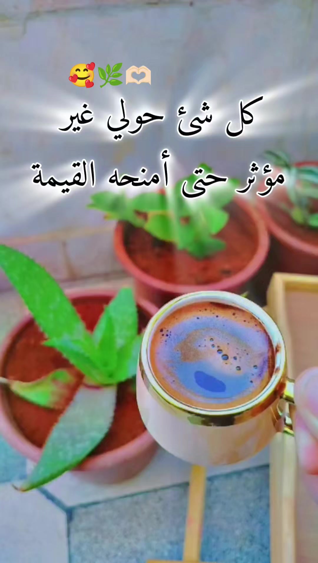 @عبير الورد🧡🍂