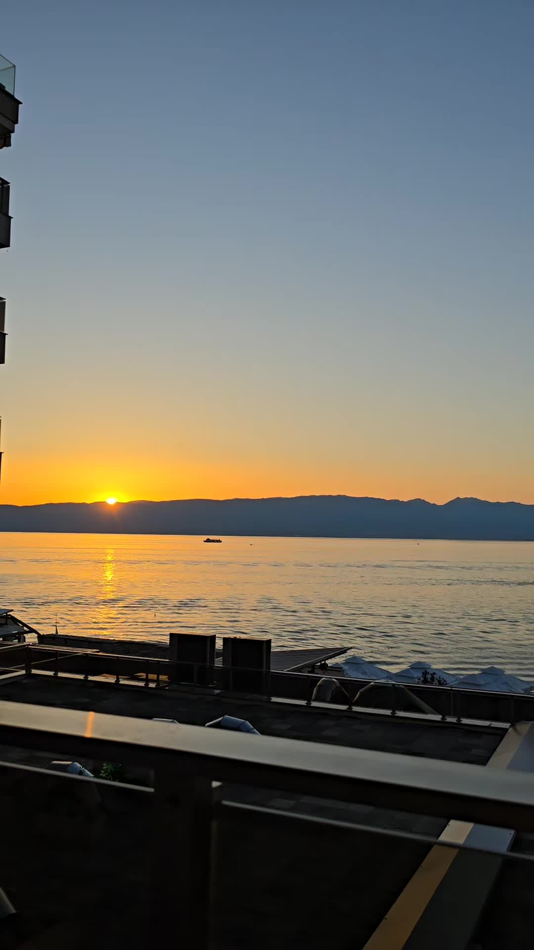 @jasnadamnjanovic
