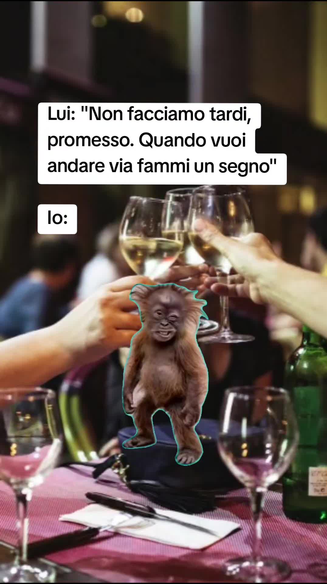 @Catzatte