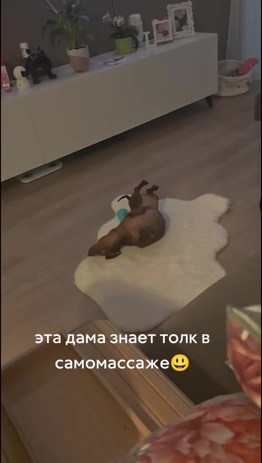 @Yᴀɴᴀ🇪🇪 ꜰʀᴏᴍ ᴇꜱᴛᴏɴɪᴀ