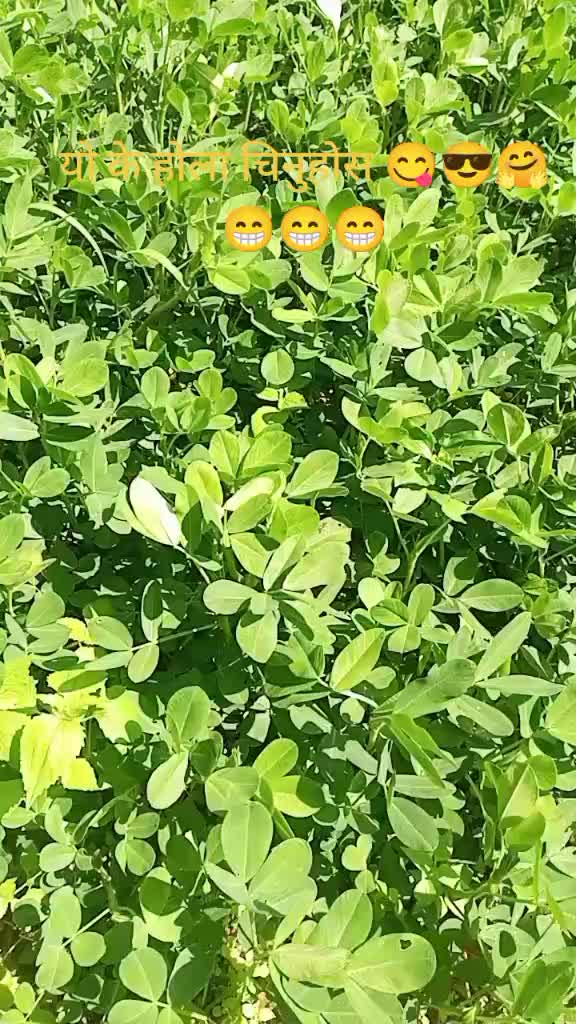 @Y💝B