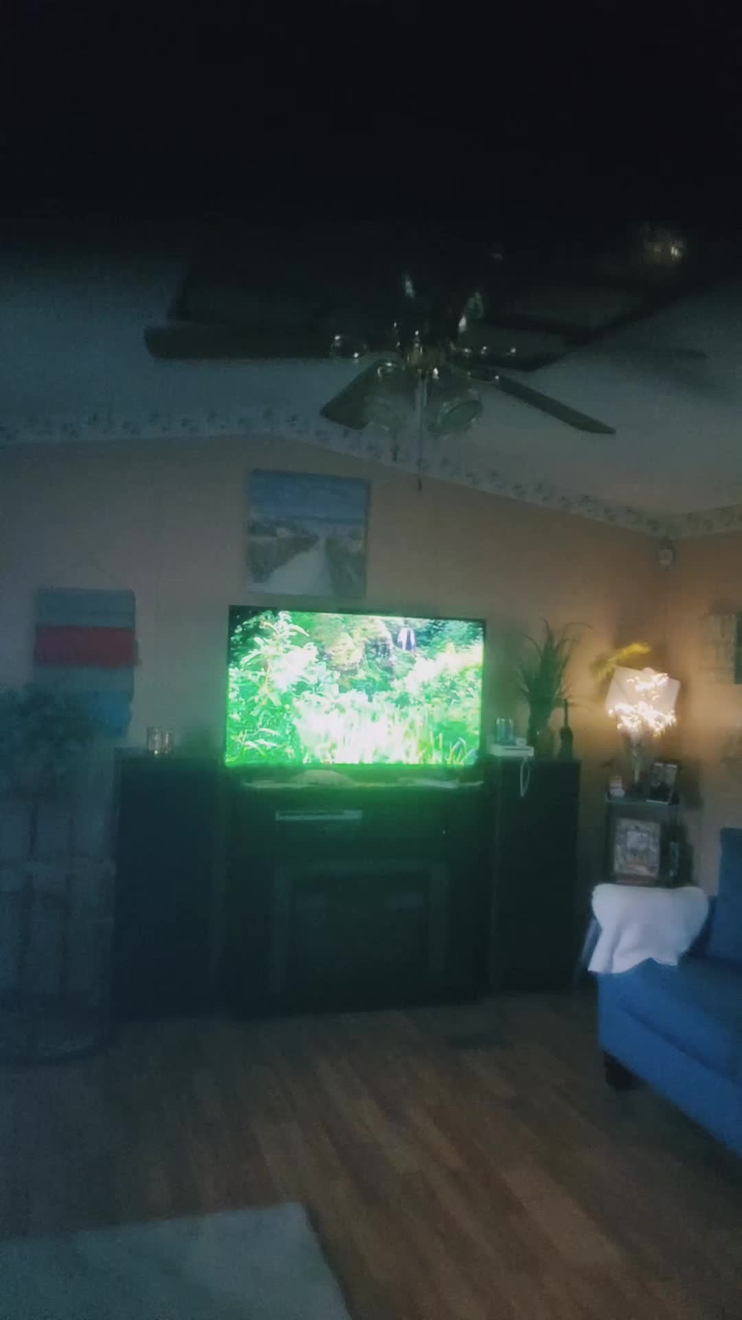 @LP