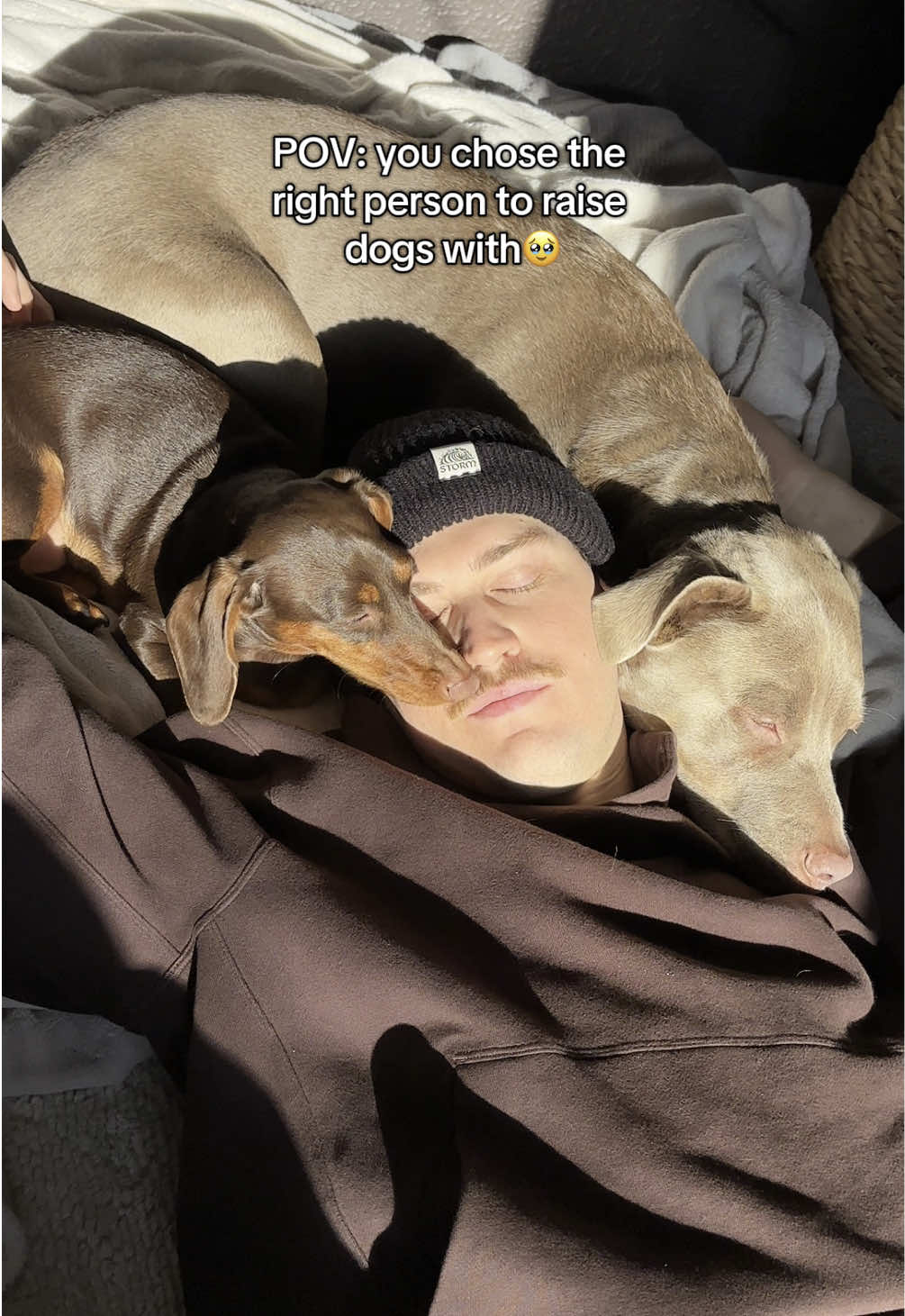 @rhubarb the doggo