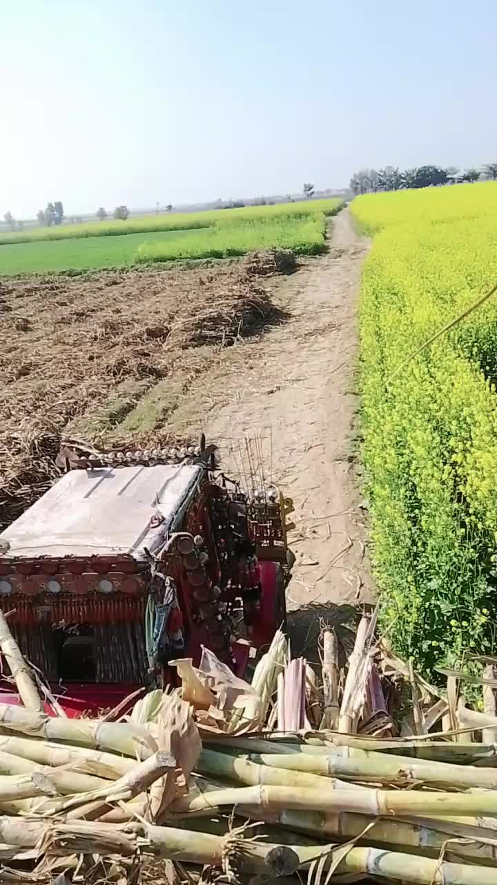@zardari