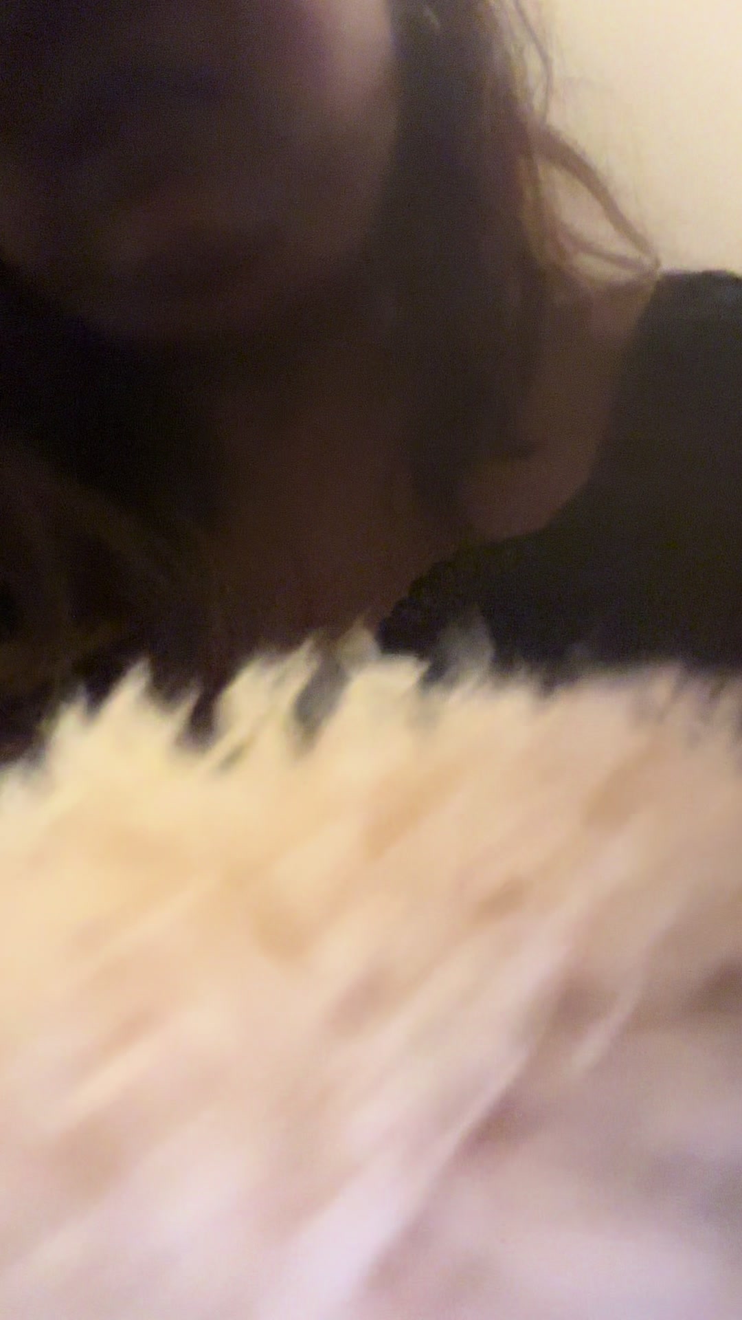 @KamiTheVixen