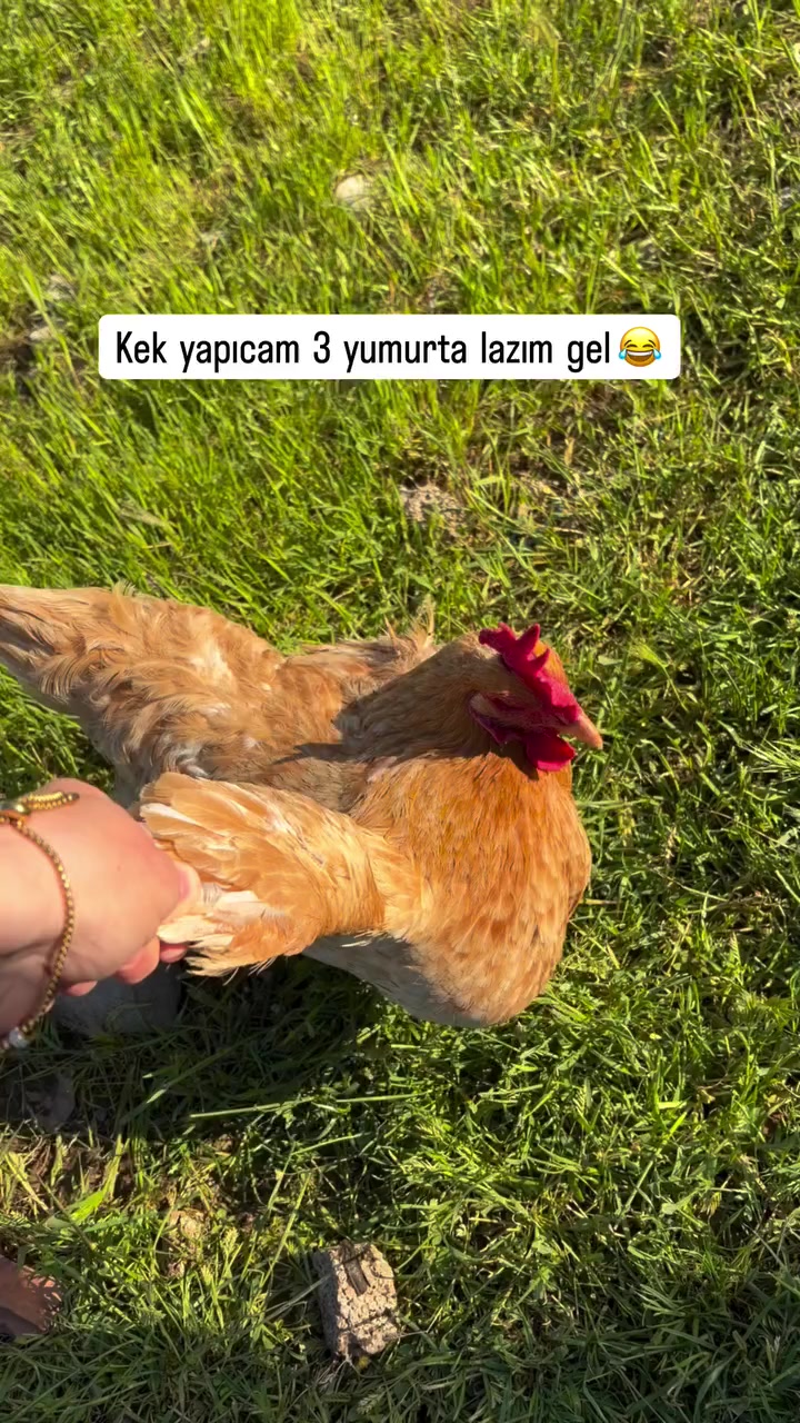 @tezcan_tekbas