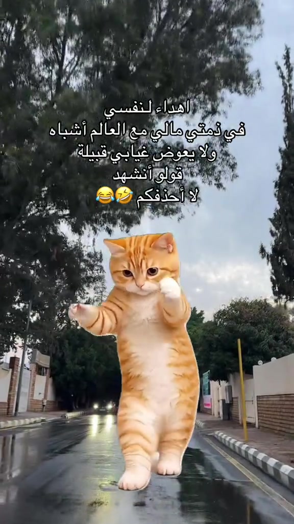 @~m00d