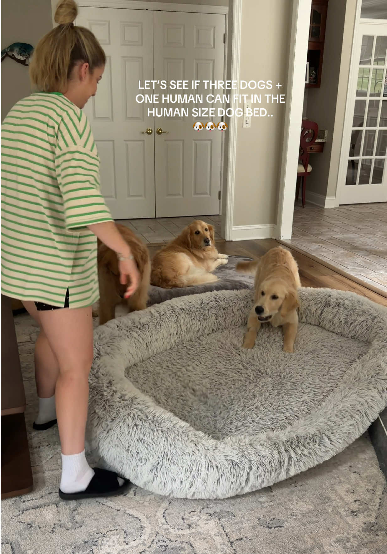 @agoldendogmom