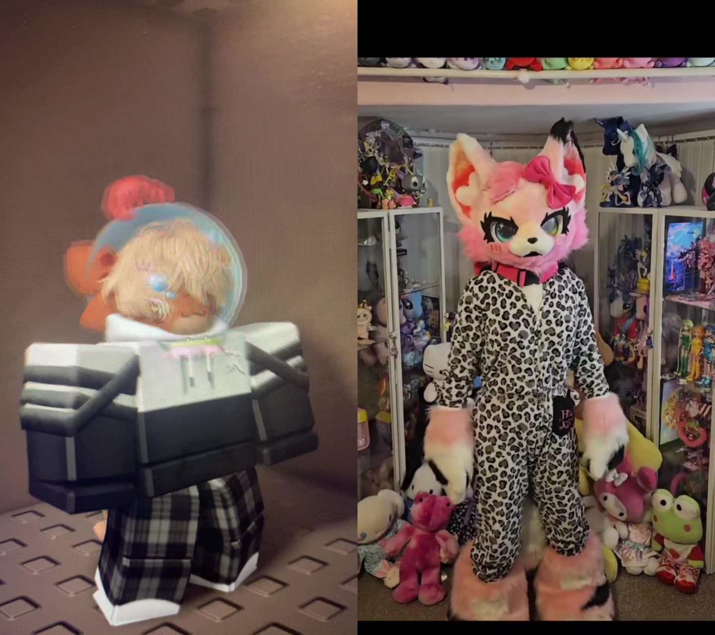 @Rilo the Fox