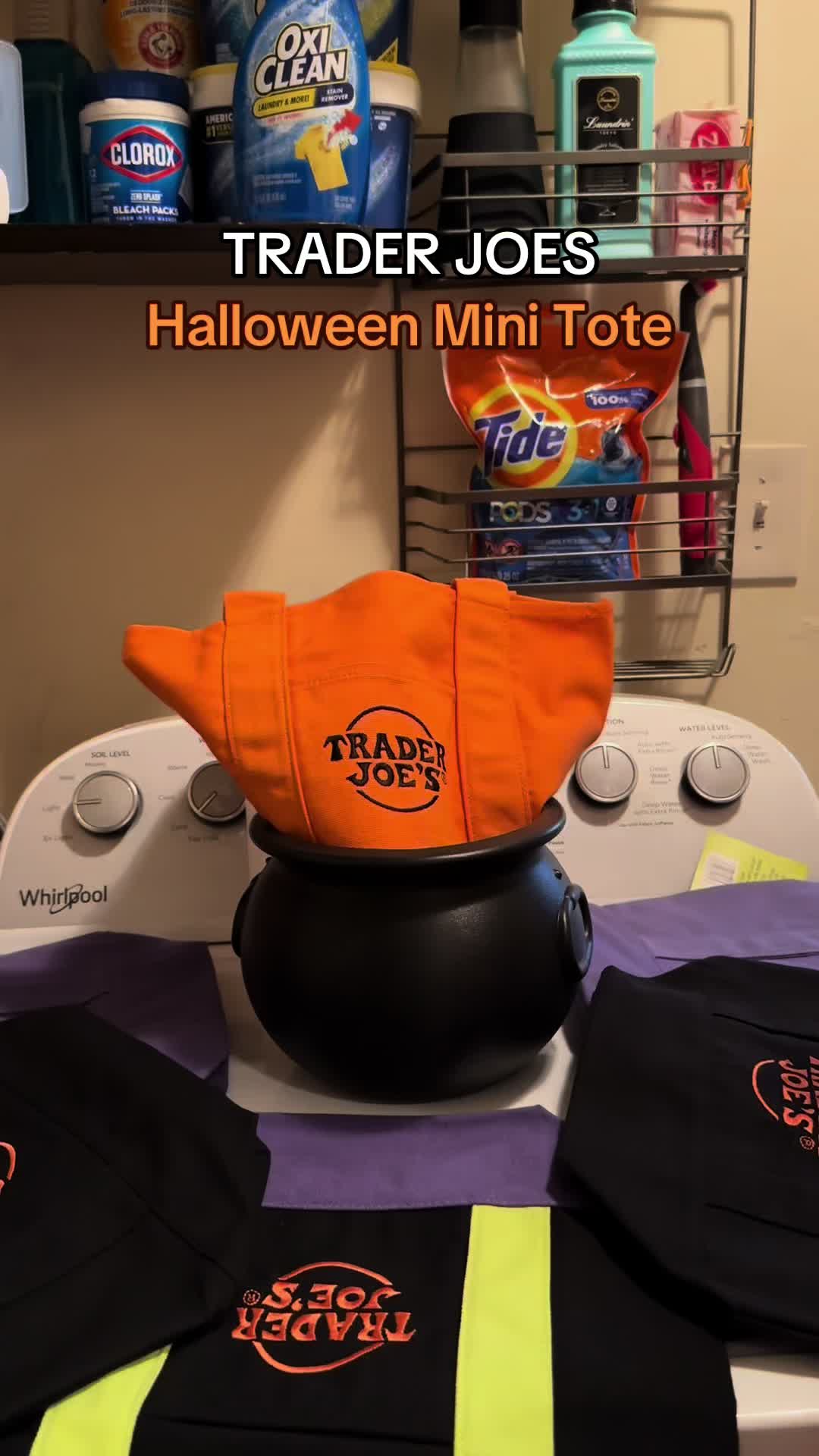 @SueCleansIt