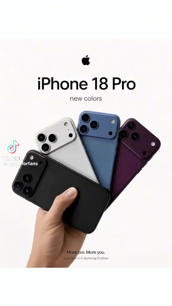 @ibrahimkoara7