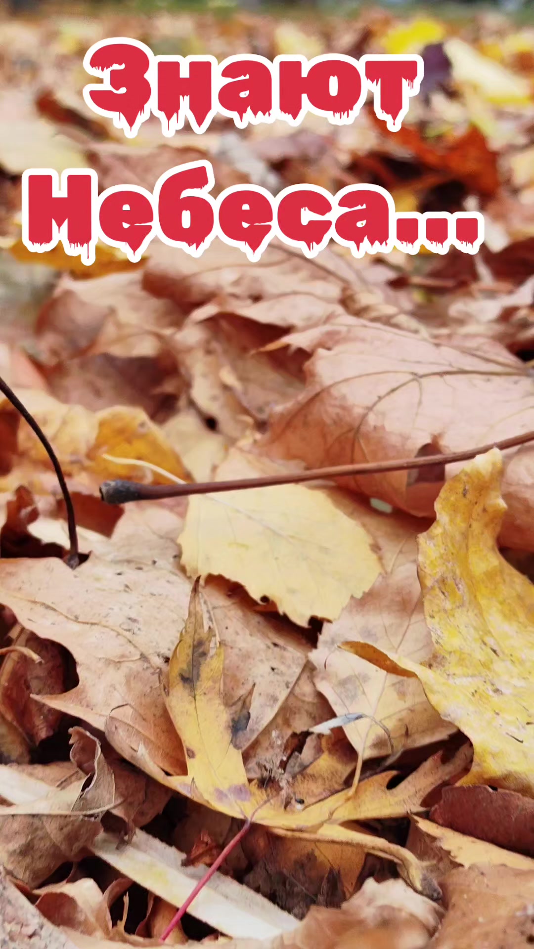 @Сергей
