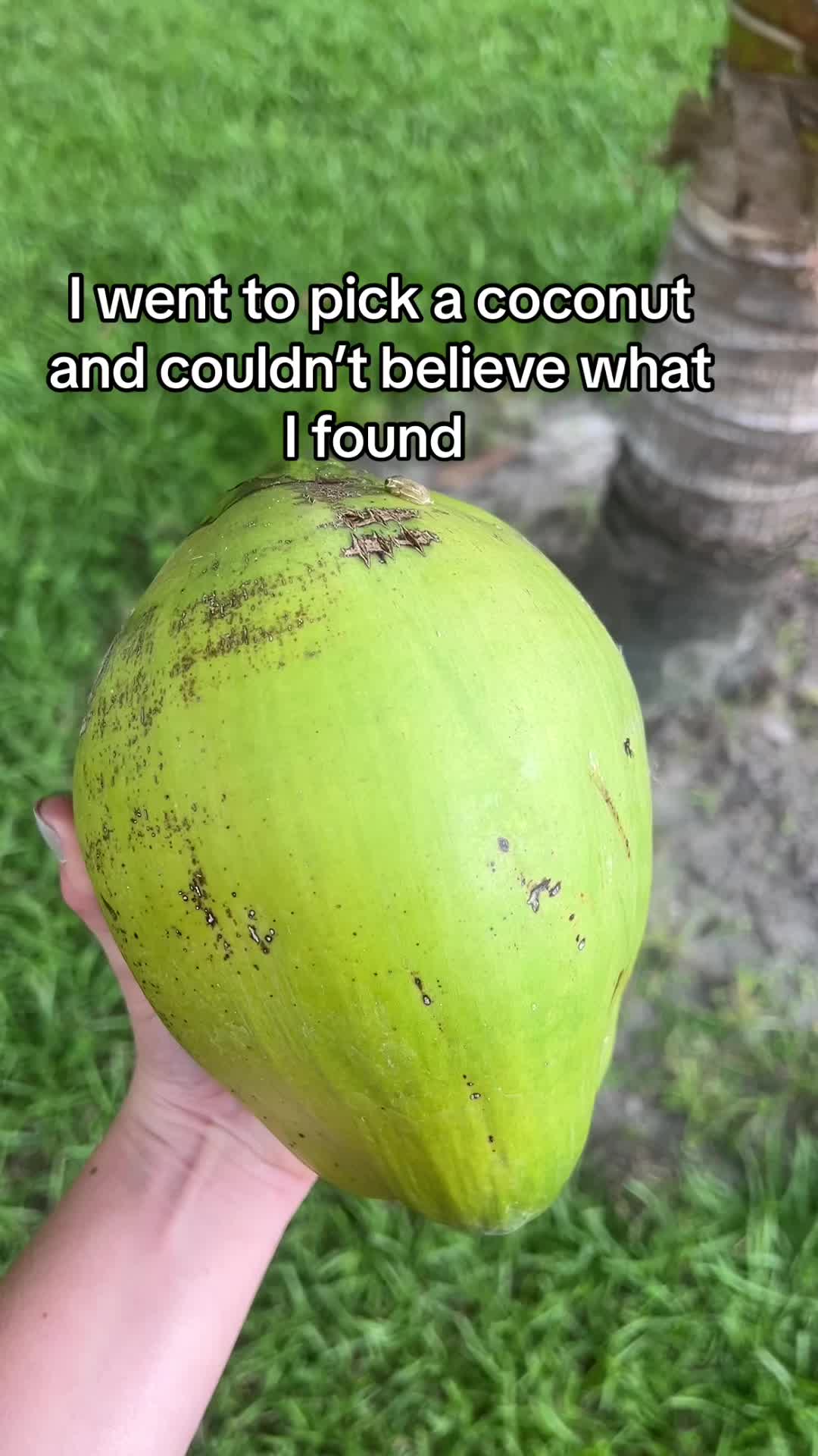 @Crazycaimanlady