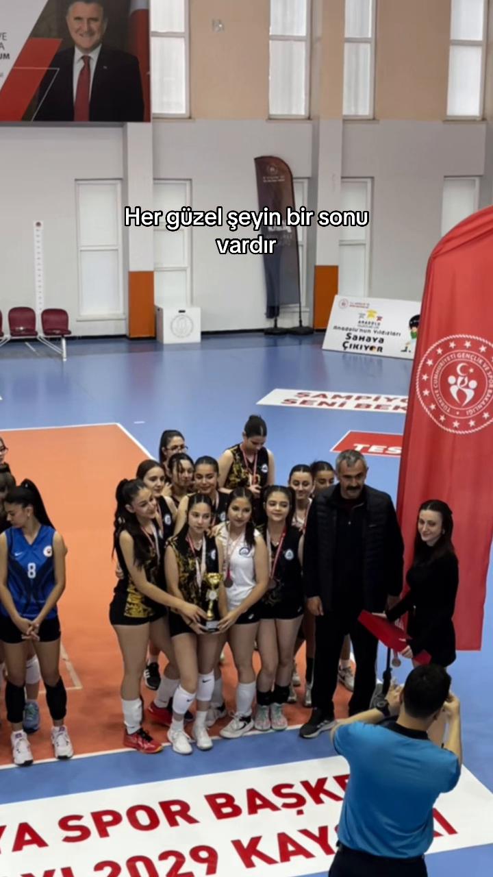 @vefaalvoleyboll