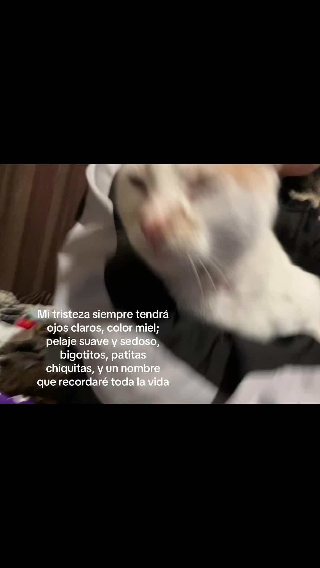 @Axel