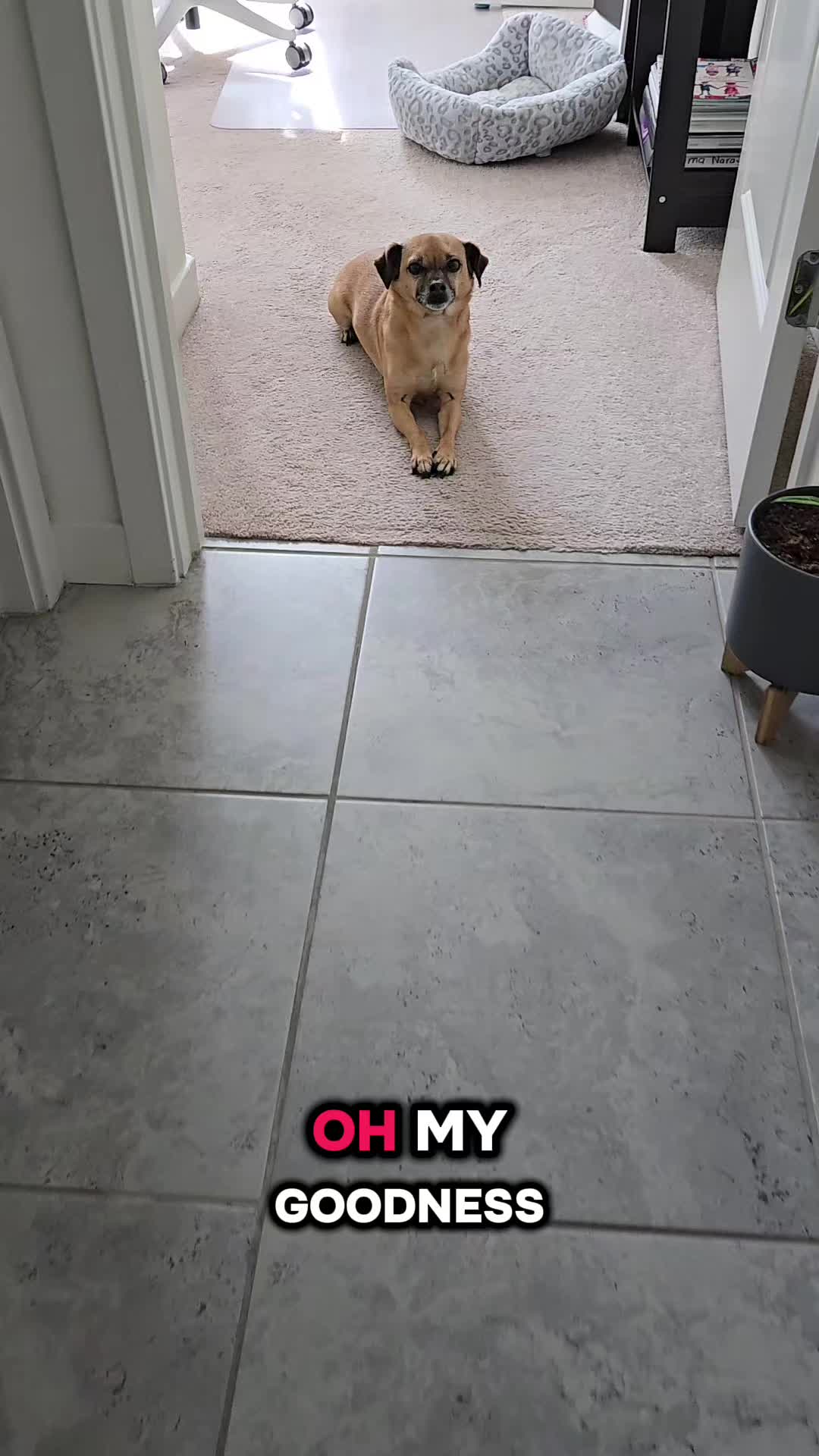 @Twix