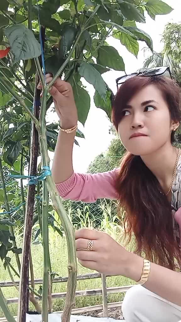 @Mamahliana3