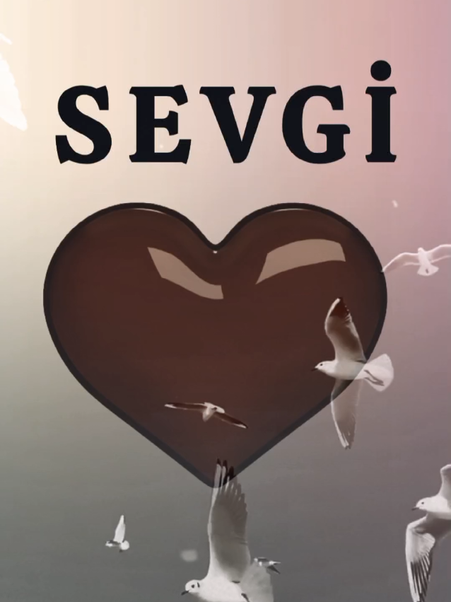 @SHOW İS NAME