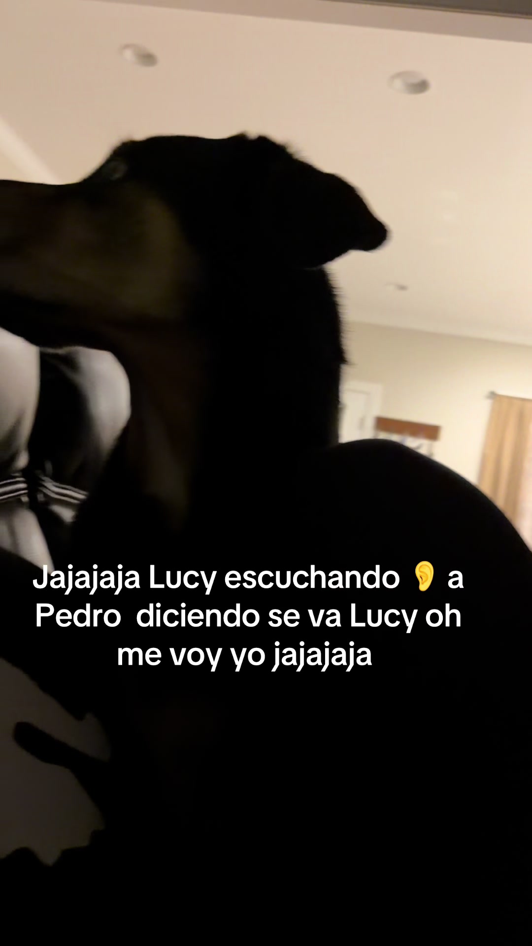 @Estela Natalia