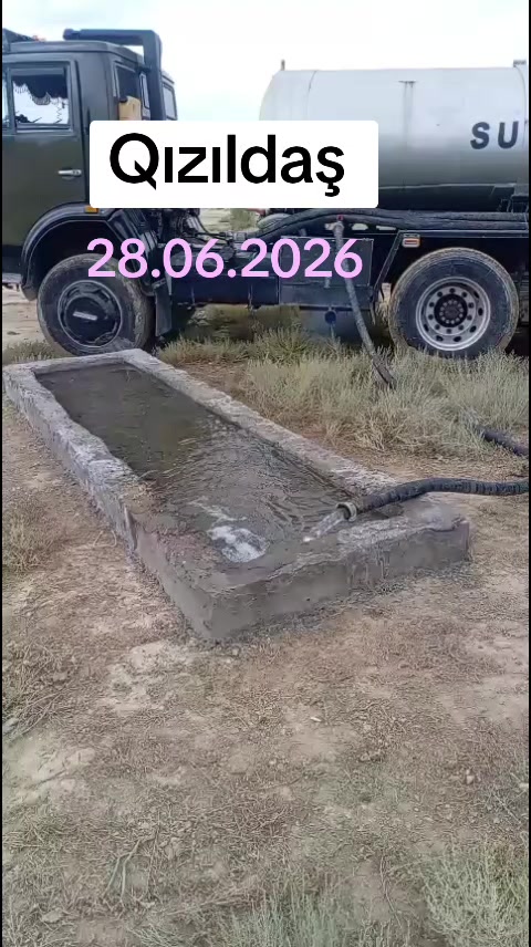 @Sahibsiz heyvanlara dəstək