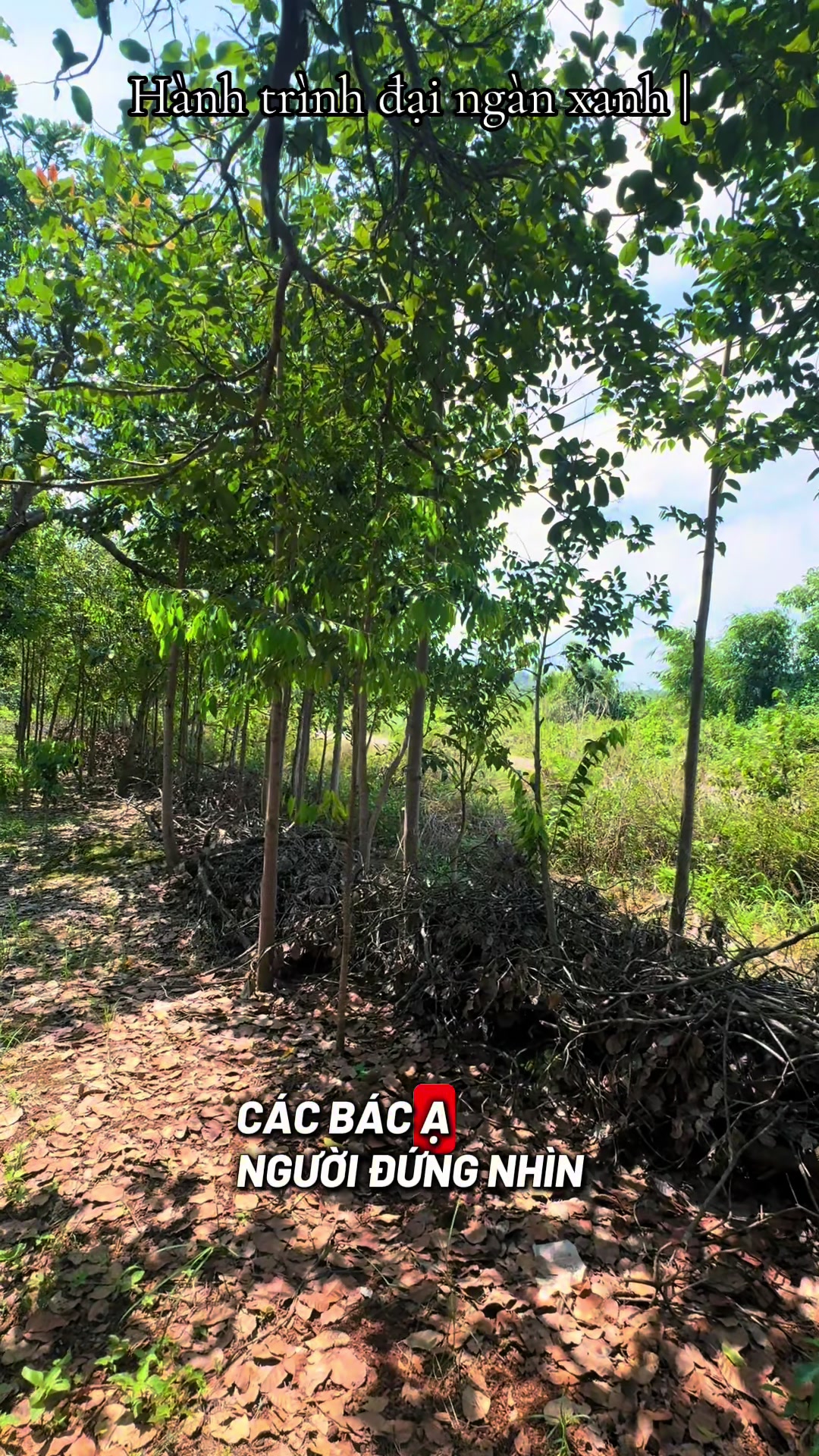 @D&oacute; Đen Việt !