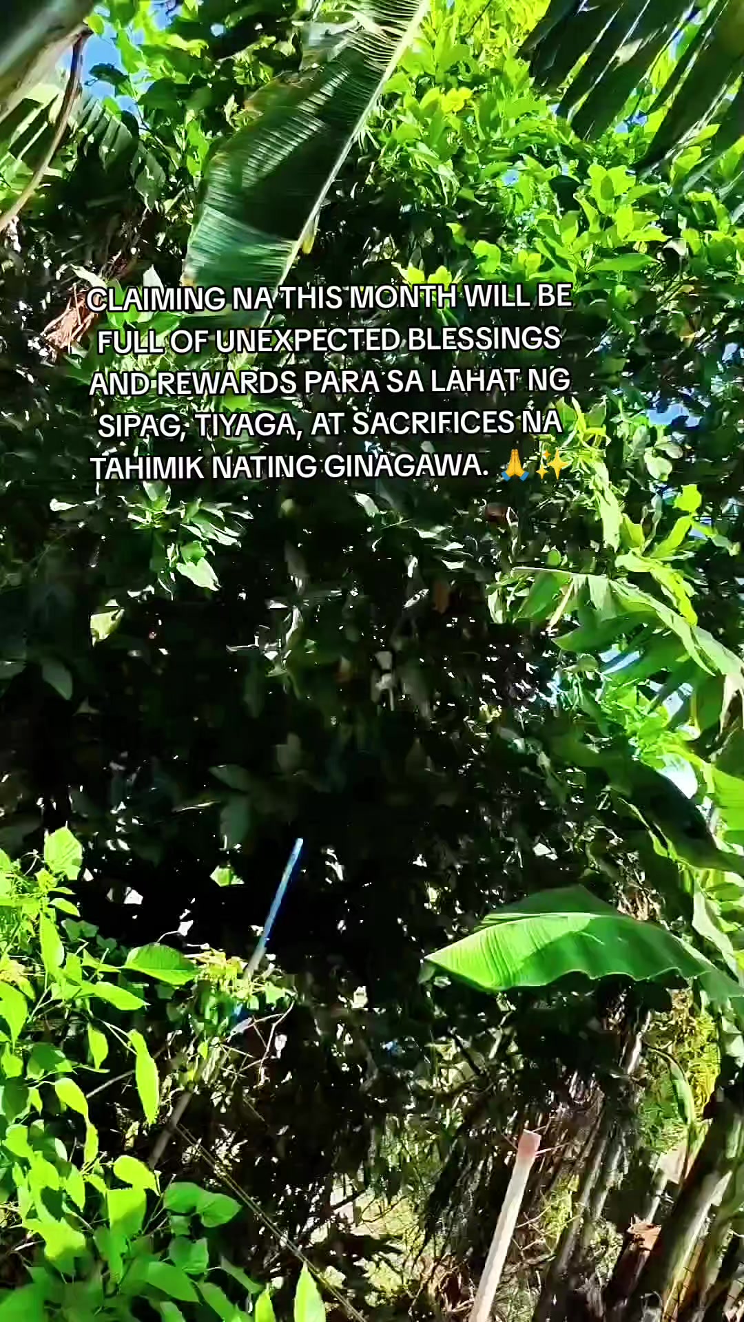 @𝘼𝙉𝙉𝘼 𝙀𝙂𝙐𝙄𝘼🍀