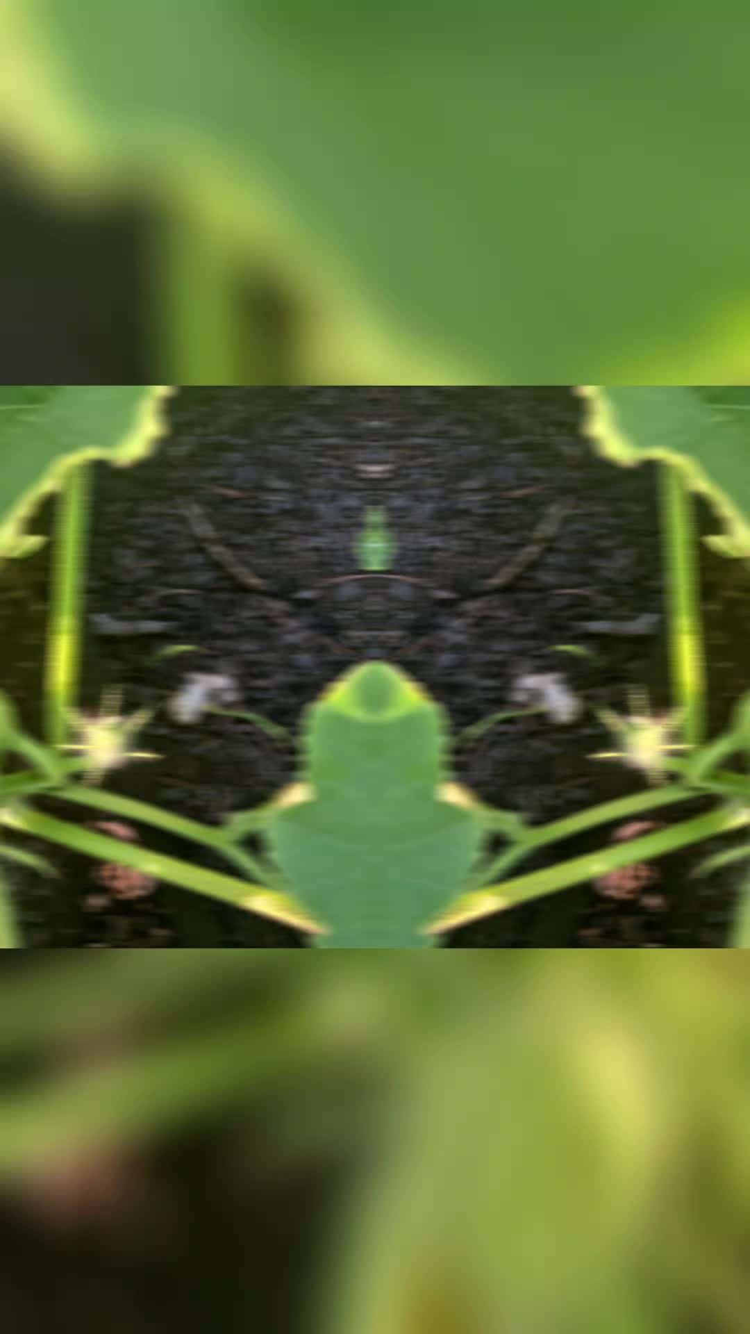 @DJ