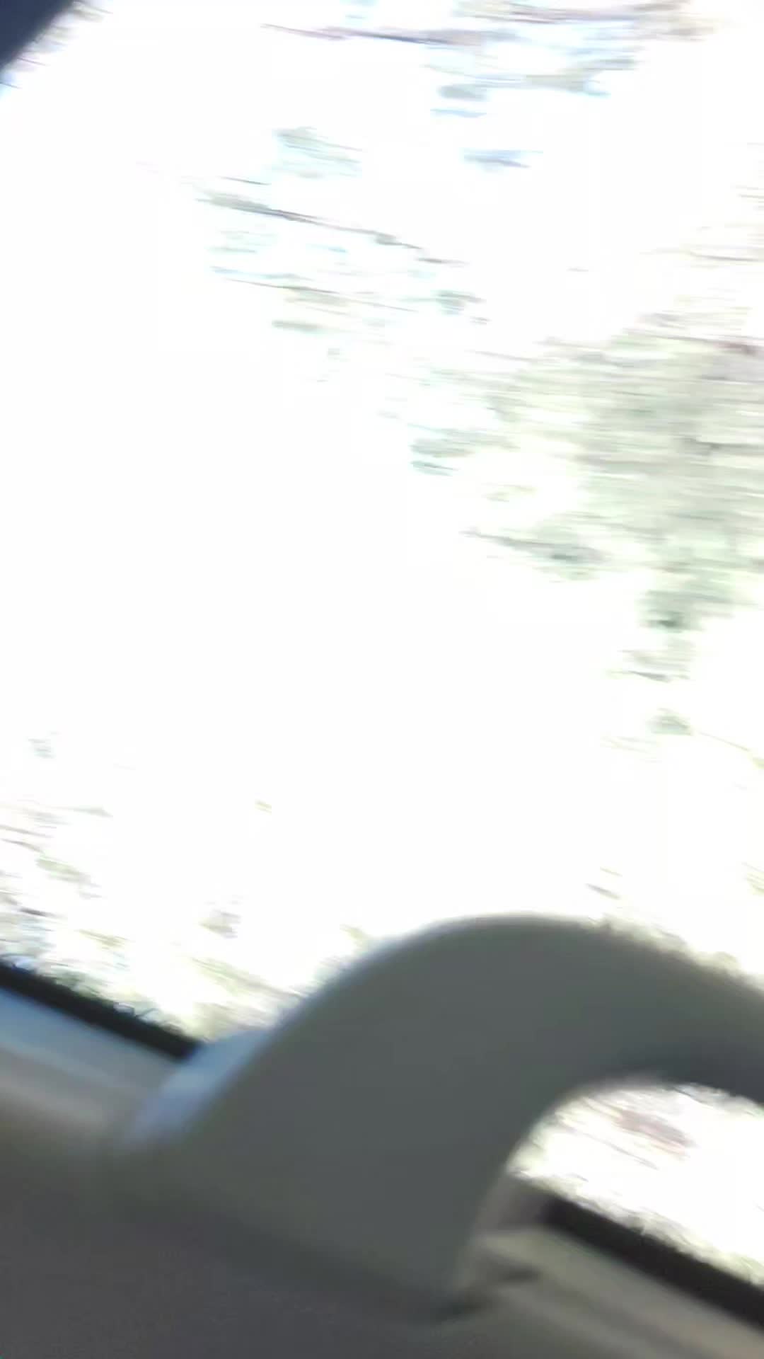 @lorenzo01