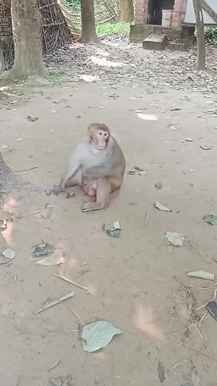 @krishna Sarkhar