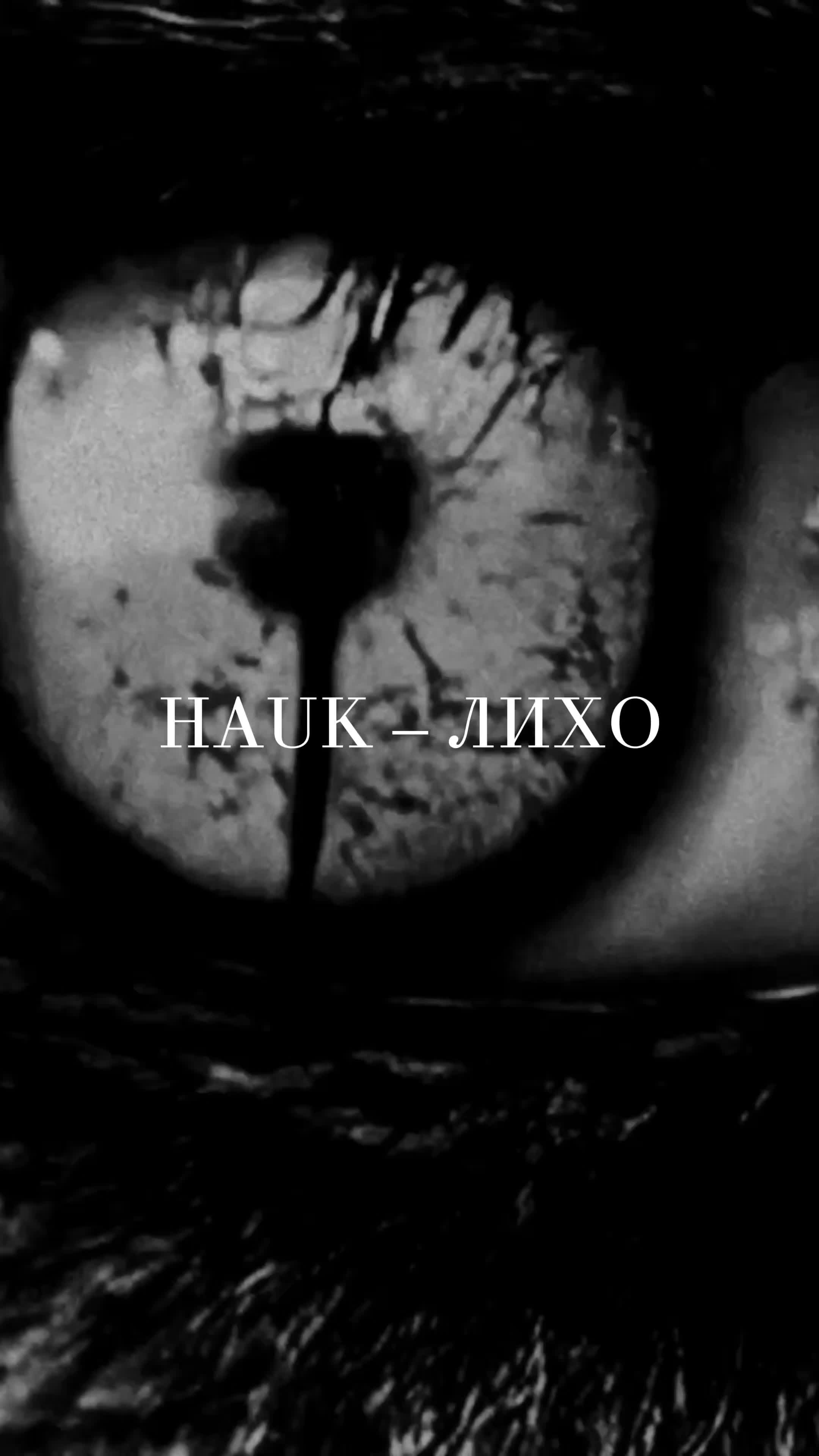 @HAUKORIGINAL
