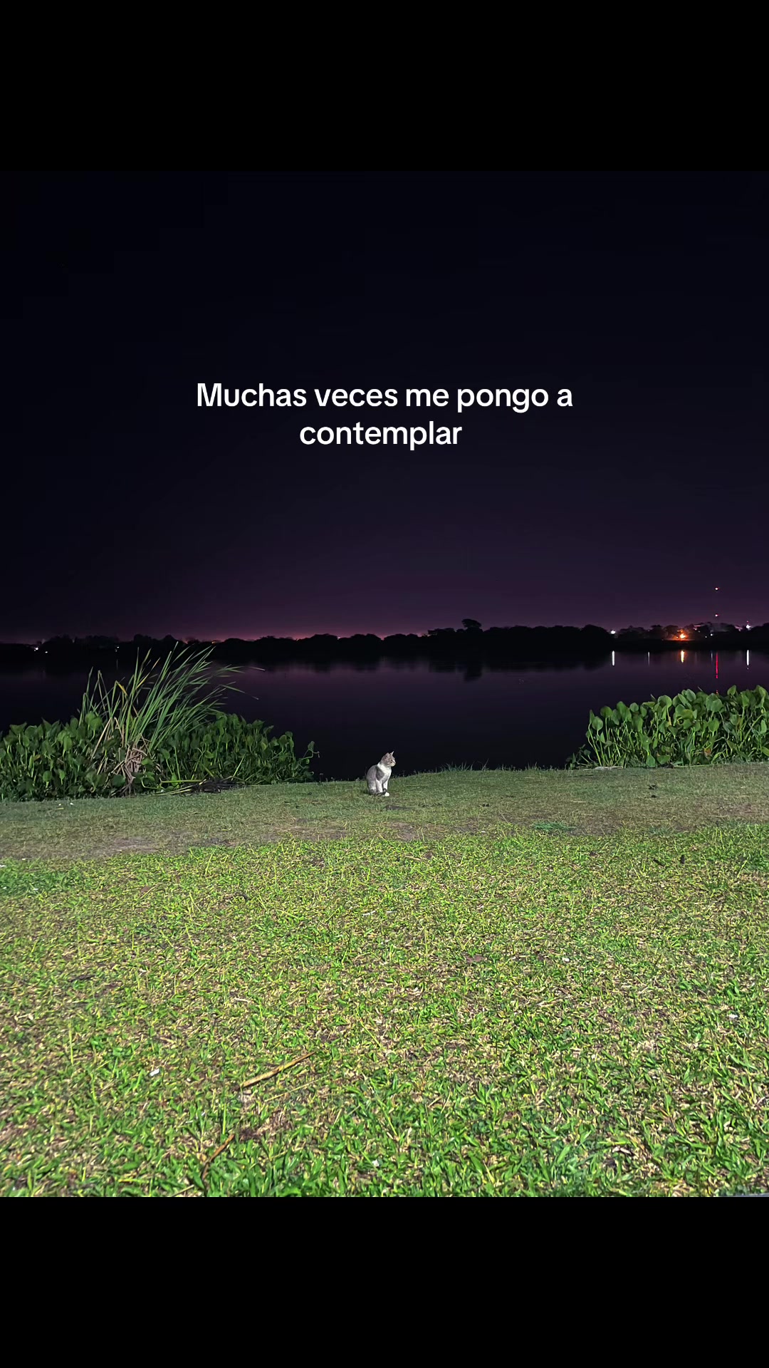 @Araceli 🩷