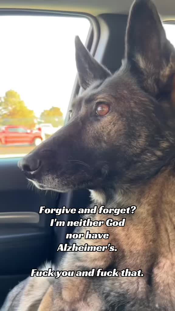 @K9 Dina