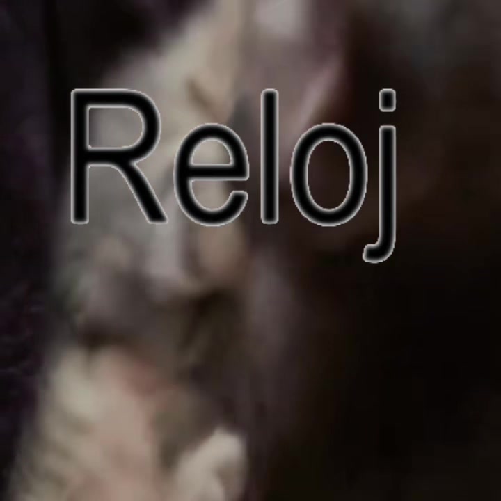 @𝒪𝓳𝓮𝓭𝓪𝓻𝓲𝓸
