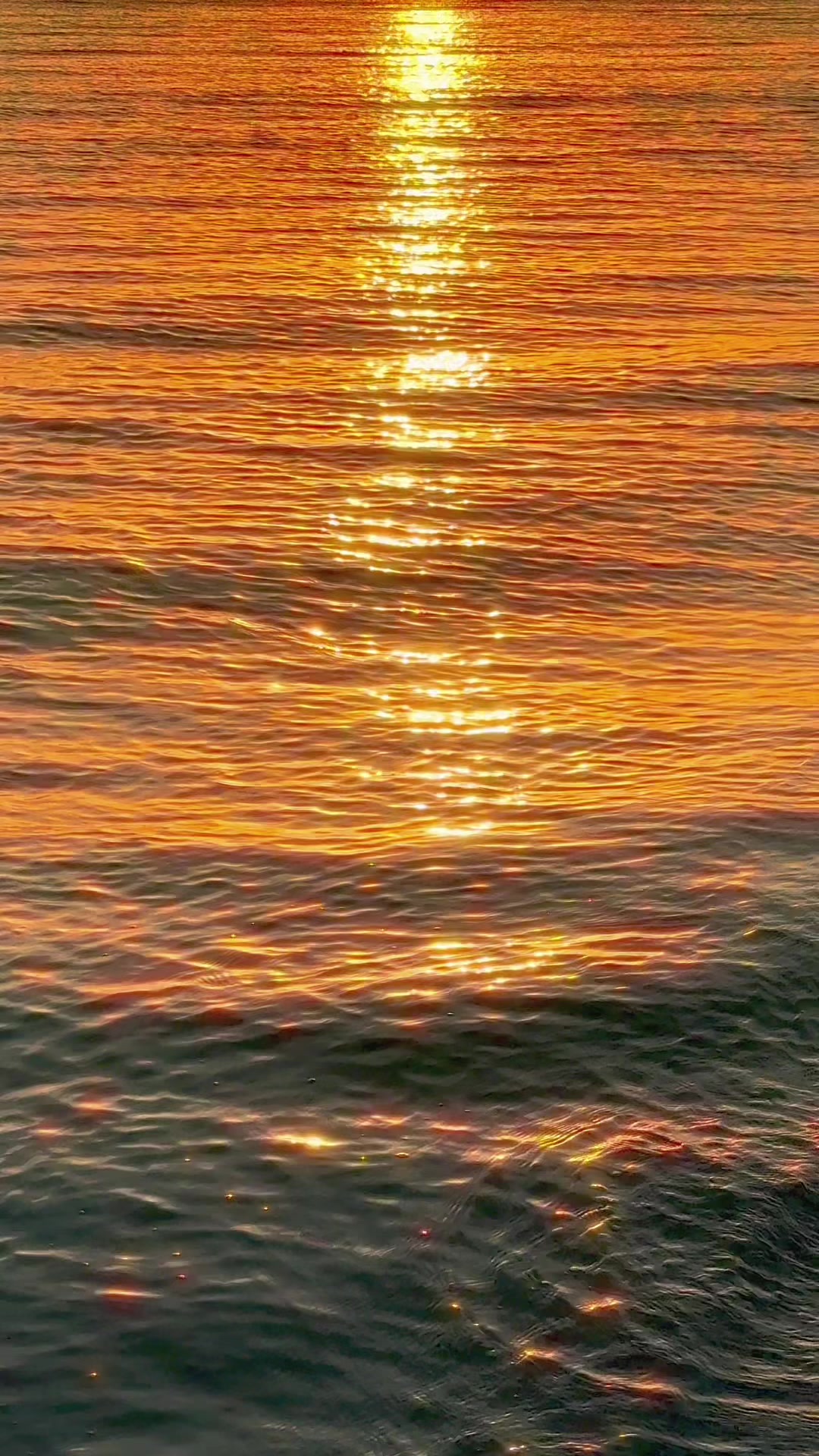 @Joe Santana