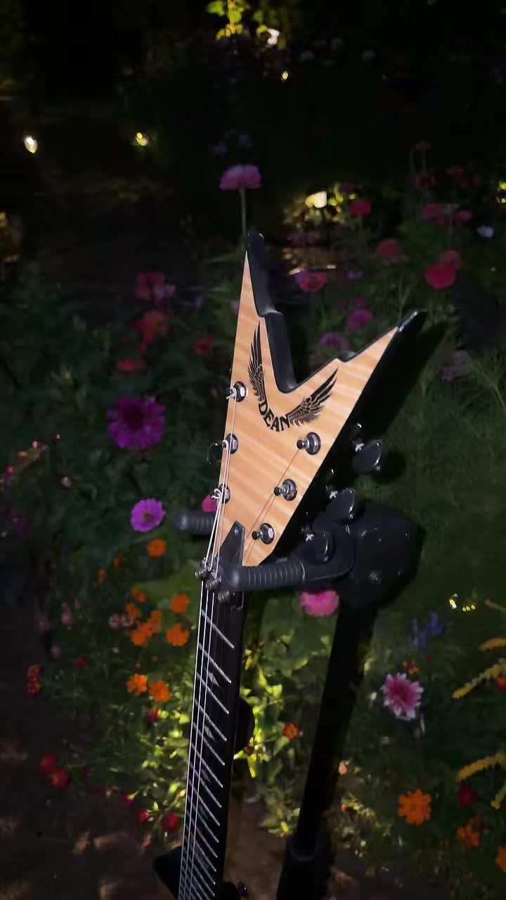 @Garden alive