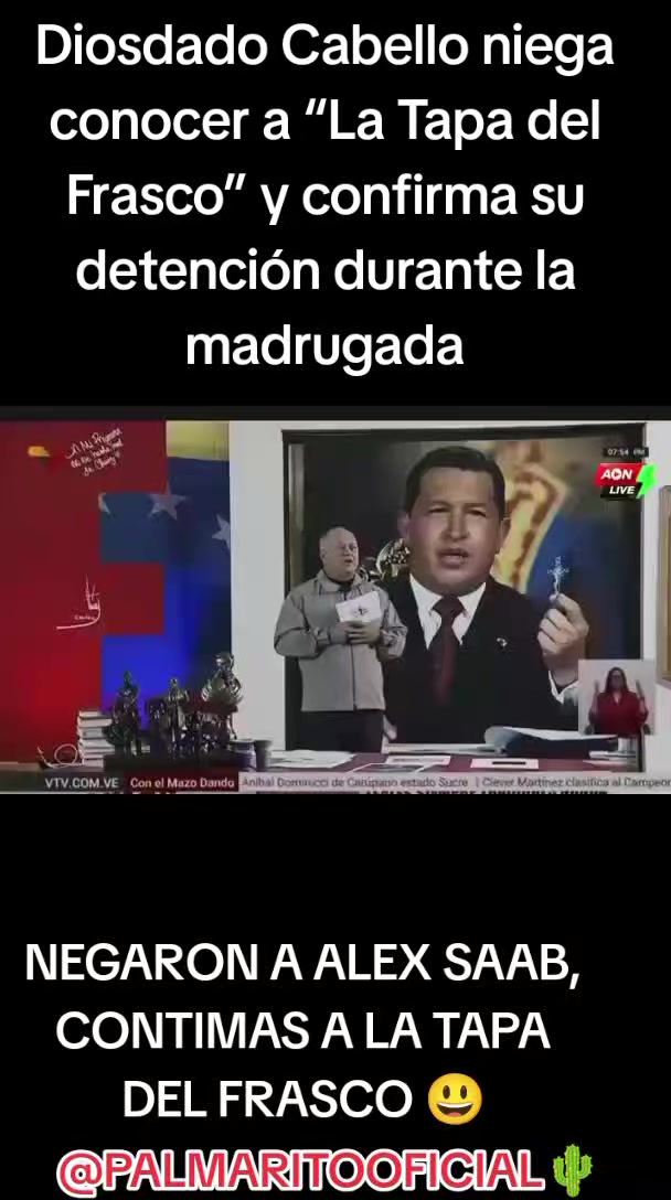 @PALMARITOOFICIAL 🌵