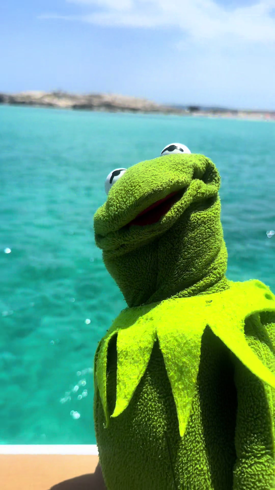 @🐸 Crashout Kermy 🐸