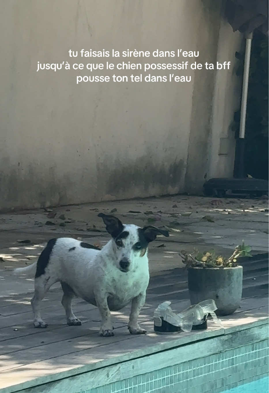 @votre star