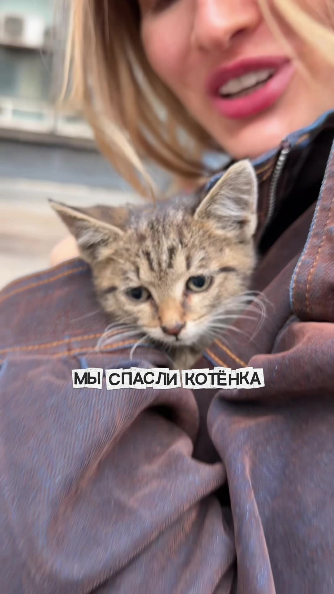 @ЛЁЛЯ | ТГ: helnns